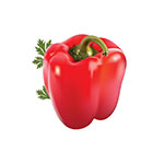 Capsicum